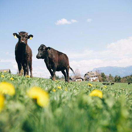 Alpin Farm Birke - Oberweidacherhof กอลลาลโบ ภายนอก รูปภาพ