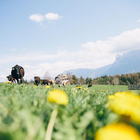 Alpin Farm Birke - Oberweidacherhof กอลลาลโบ ภายนอก รูปภาพ