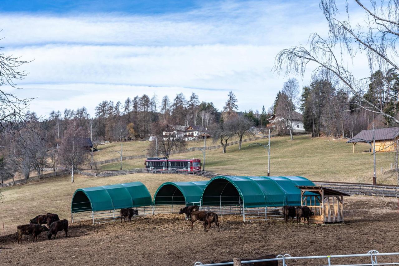 Alpin Farm Birke - Oberweidacherhof กอลลาลโบ ภายนอก รูปภาพ